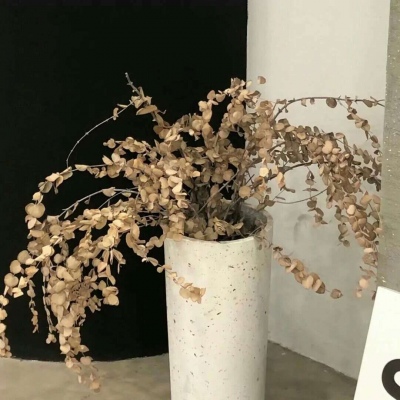 随州福瑞交流群